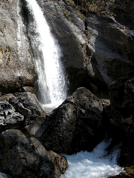 Escursione Parco Nazionale d''Abruzzo